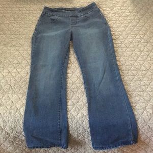 Lee Platinum Label Women's Jeans